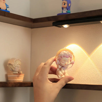 Wall Shelf